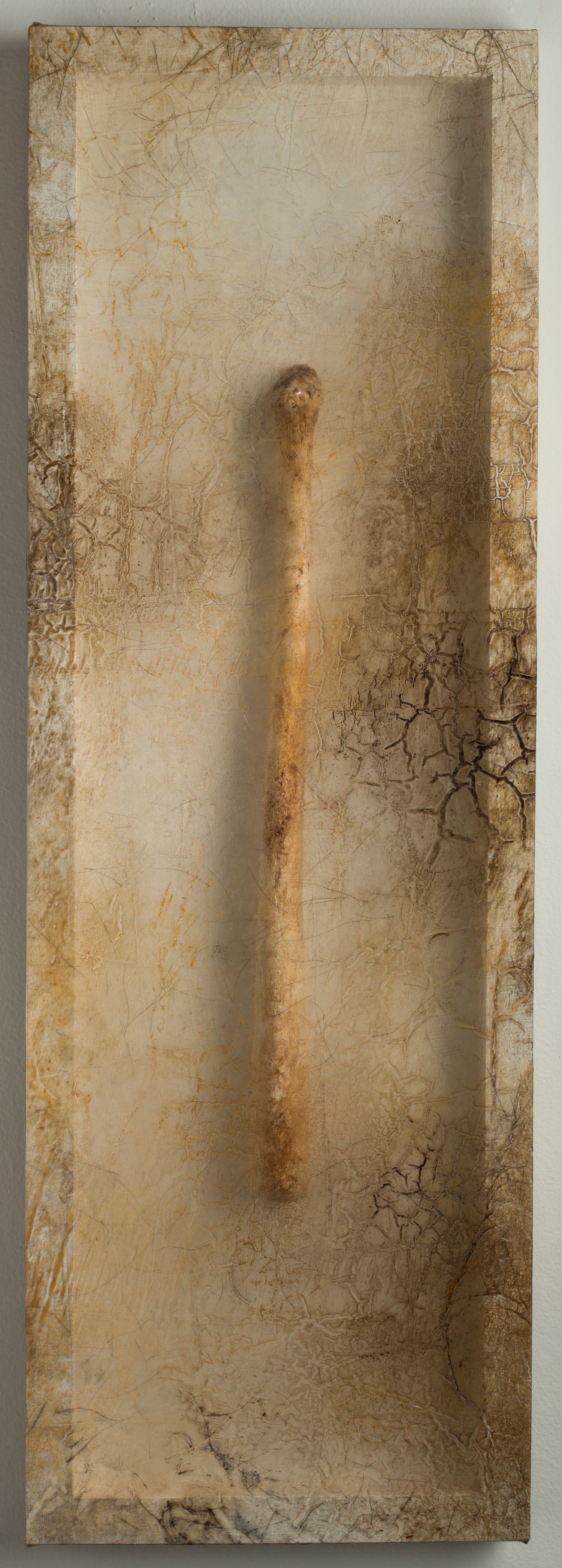 remnant_walrus_bone_2016.jpg